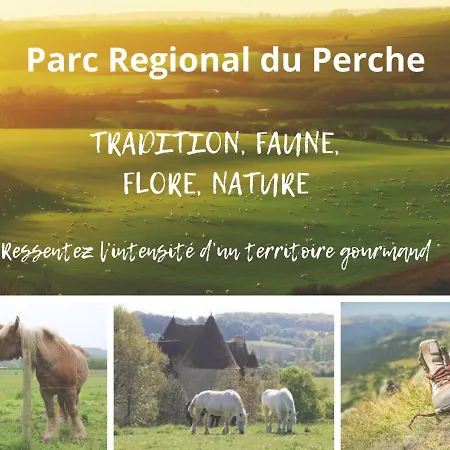 度假居 Superbe Grange Et Son Bain Nordique, Endroit Paisible Du Perche *